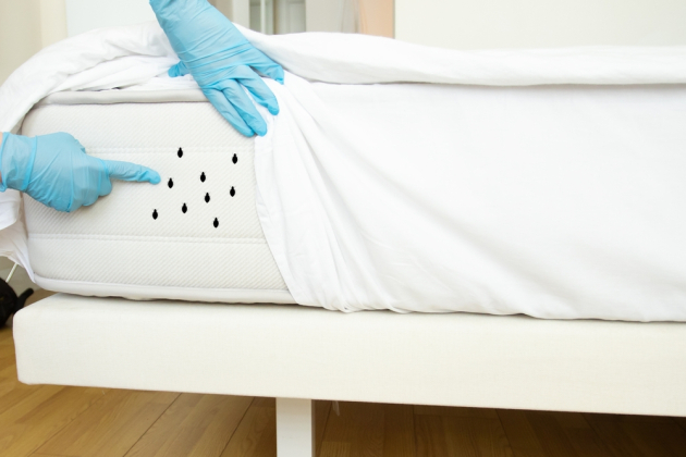 Prevencia a likvidácia roztočov v matraci: Krok za krokom